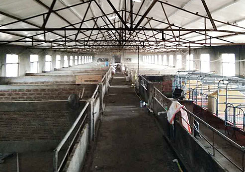 香蕉视频一区二区覆膜瓦91香蕉视频APP污导航之新沂養殖場